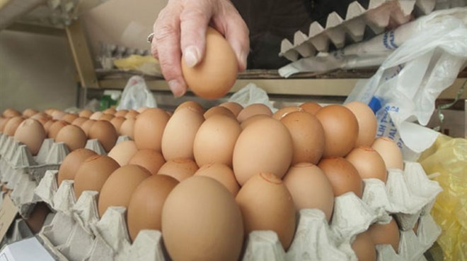 Šarović: BiH je ispunila uvjete za izvoz mesa peradi i jaja u EU