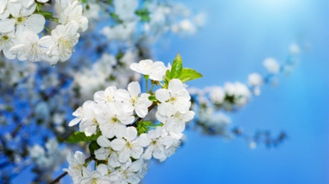 Na Bjelašnici minus 8, u Mostaru plus 15 stupnjeva, sutra u BiH sunčano