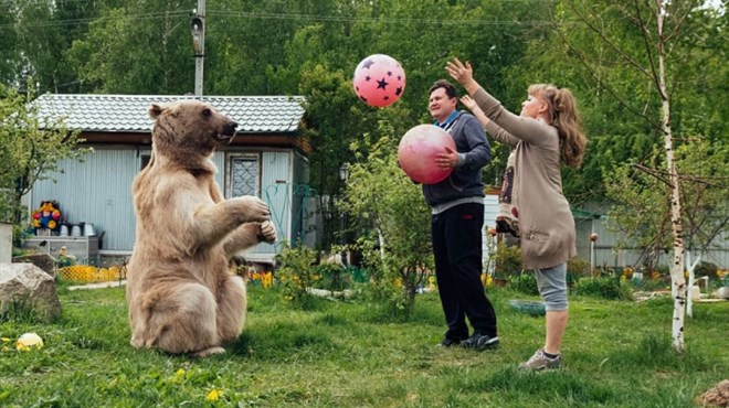 Ruska obitelj usvojila medvjeda: Živi s njima u kući već 22 godine