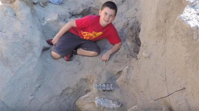 Dječak se igrao, pao i otkrio blago staro - milijun godina!