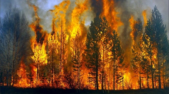U ovoj godini 5000 požara u FBiH: Većinu izazvali ljudi