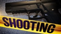 Dvogodišnjak se igrao s pištoljem, ubio oca na spavanju