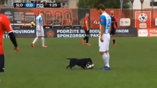 Dognaldu ni Sloboda ni Posušje nisu ponudili ugovor