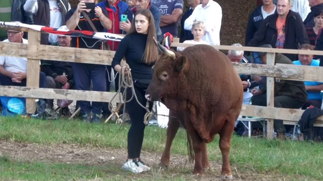 VIDEO: Martina je najbolji kondicijski trener bikova u BiH