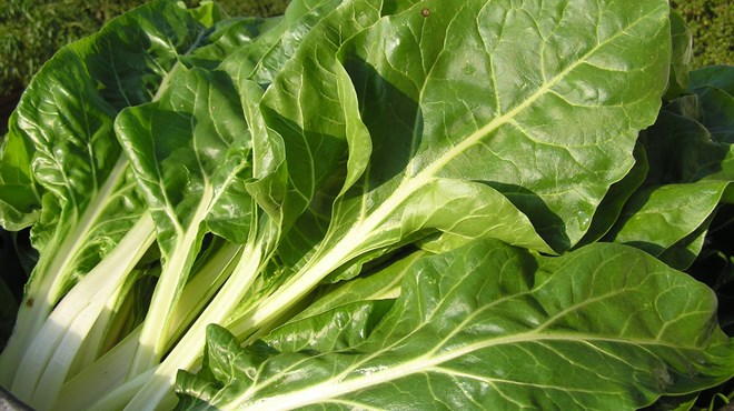 Magnezij pokreće cijelo tijelo, a lako ga je dobiti kroz prehranu