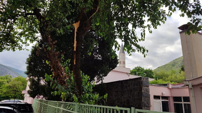 FOTO: Grom udario u drvo pored vrtića u Mostaru! Djeca, srećom, sve prespavala