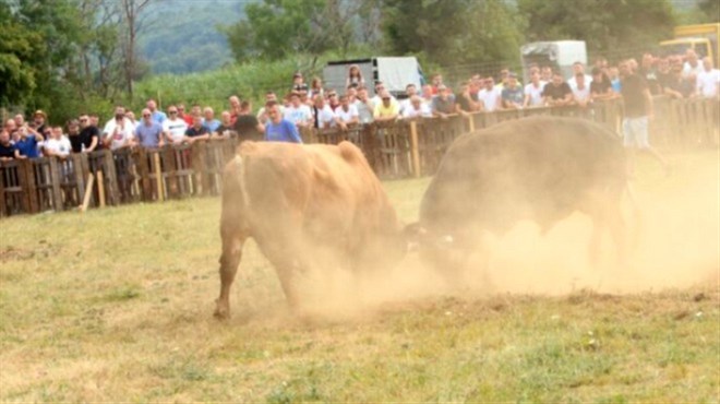 Bik Brizan pobijedio na 'Ilijinu brdu' pa se zaletio u publiku da proslavi