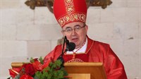 Papa Franjo umirovio kardinala Vinka Puljića
