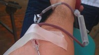NAJAVA: Akcija darivanja krvi u Tihaljini