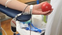 Grude: U srijedu akcija dobrovoljnog darivanje krvi