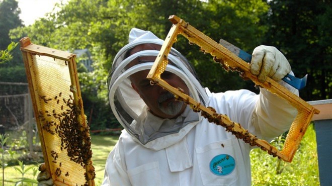 Tomislavgrad: Nomadski pčelari ugrožavaju domaće