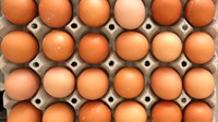 Ljusku jaja može se iskoristiti na razne korisne načine