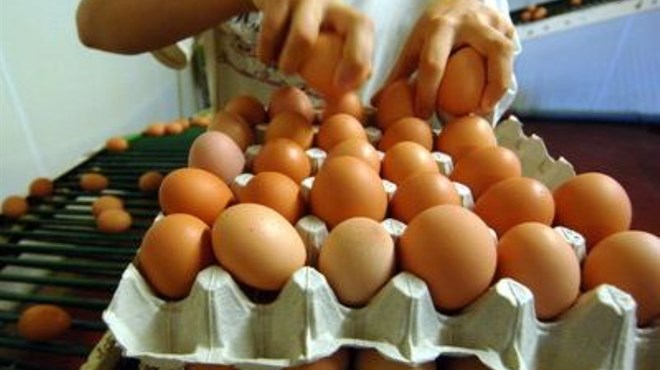 Nove oznake na hrvatskim jajima