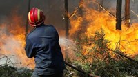 Požar na ostacima Duhanske u Širokom Brijegu