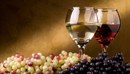 Vrijednost uvoznog vina u BiH četiri do pet puta veća od vrijednosti izvezenog
