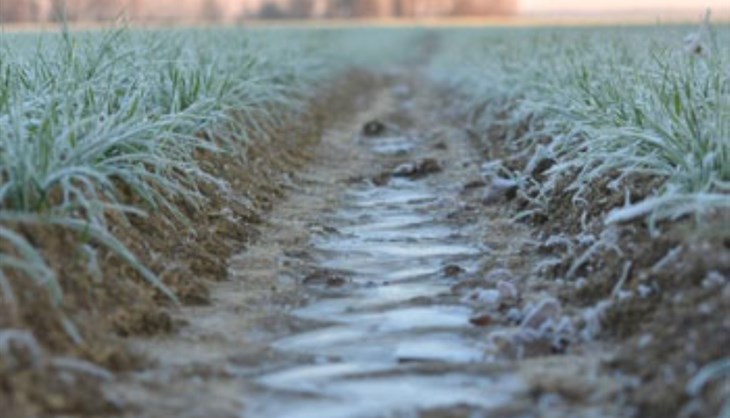 Upozorenje meteorologa naročito za poljoprivrednike: Opasnost od mraza!