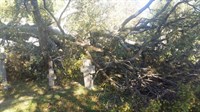 FOTO Tomislavgrad: Snažan vjetar čupao stabla, letjeli krovovi, oštećeno i groblje