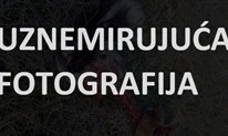 UZNEMIRUJUĆA FOTOGRAFIJA: Vuk na staru godinu razderao psa u Dragićini