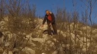  Zmijolovac iz Hercegovine uhvatio tisuće zmija, a ujela ga samo jedna