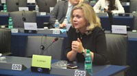 Hrvatski zastupnici u Bruxellesu napali izvješće EU parlamenta zbog BiH