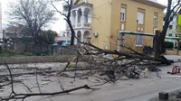 VIDEO: Snažna bura po Mostaru lomi stabla i nanosi ogromne materijalne štete