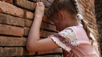 Sarajevo: Ravnatelj spolno zlostavljao školarku, osuđen na 8 godina zatvora