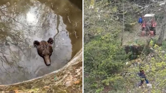 VIDEO: Spašavanje ramskog medvjeda iz bunara!