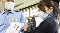 Herojski pothvat mačke Koko: Policija joj uručila zahvalnicu jer je spasila čovjeka