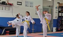 Taekwondo polaganje za pojaseve