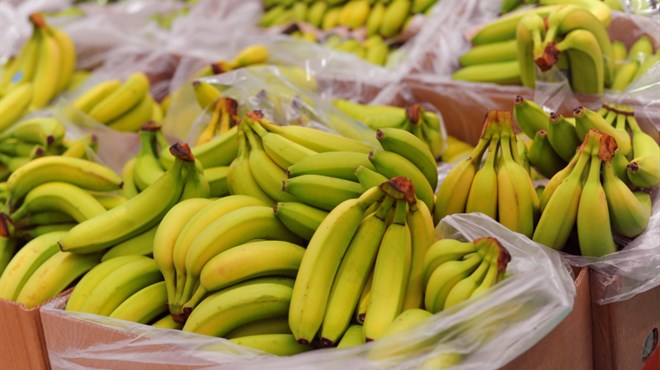 Banane s drogom vrijednom 65 milijuna eura naručila TVRTKA IZ BIH
