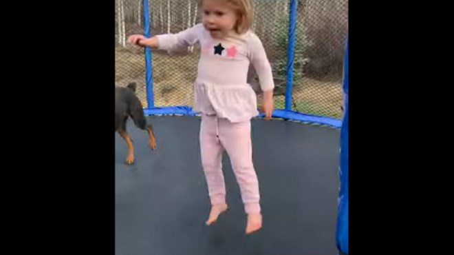 VIRALNI VIDEO - Djevojčica i pas uživaju na trampolinu