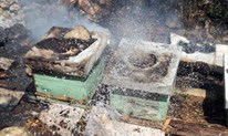 FOTO: Kamen bi proplakao! Kod Čitluka izgorjeli vinogradi, voćke, izgorjele pčele u košnicama