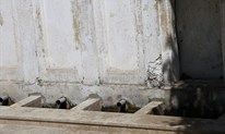Sveta misa na najstarijem svetištu u Hercegovini: Gospa se tu ukazala sirotoj ženi koja je tražila vodu