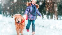 Djevojčica se izgubila u snježnoj oluji, noć preživjela grleći psa