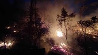Požar kod Metkovića, gori 20 hektara