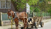 Konj se vratio sa zaprežnim kolima bez vlasnika, policija pronašla tijelo Drage R. iz Bratunca