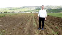 Mladi Imoćanin obrađuje dva hektara zemlje, sadi papriku, krumpir, rajčicu... nada se bunaru