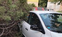 Fotografije kaosa u Mostaru: Vjetar rušio stabla, oštećeni automobili