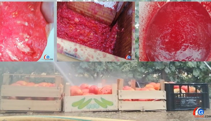 VIDEO: Kako nastaje domaći pire paradajz u Grudama