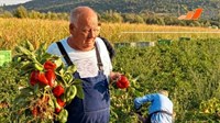 Ivan Tomić iz Gruda: Uspjeh u poljoprivredi pripisujem ljubavi prema onom što radim