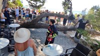 Hitna pomoć sanirala ozljede četvero ljudi na koje se srušilo stablo u Baškoj Vodi