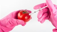 EU je podržala genetski modificiranu hranu!