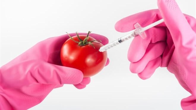 EU je podržala genetski modificiranu hranu!