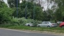 Stablo palo na automobil u Zagrebu